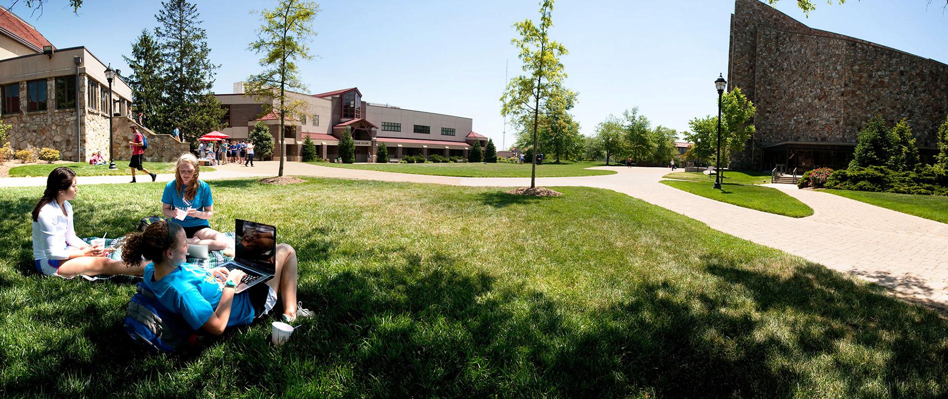 students studying on the lawn